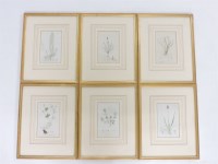 Lot 348 - After James Sowerby
SIX PLATES FROM 'ENGLISH BOTANY'