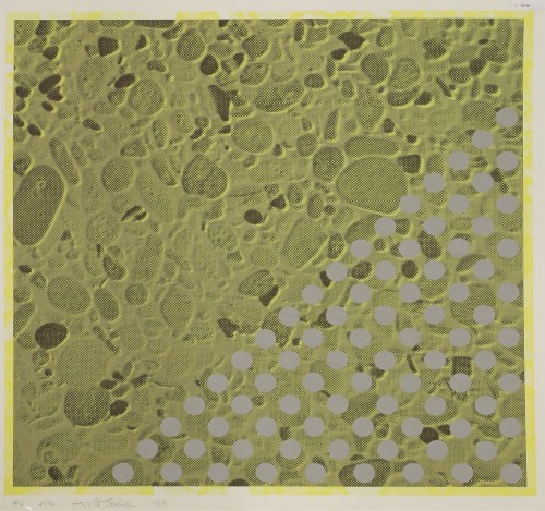 Lot 215 - Harold Cohen (1928-2016)
UNTITLED