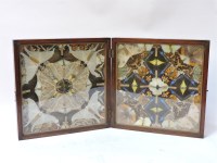 Lot 485 - A case of butterflies