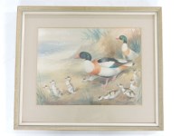 Lot 395 - Roland Green
SHELDUCK AND DUCKLINGS
Signed