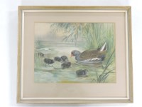 Lot 396 - Roland Green
MOORHEN AND CHICKS
Signed