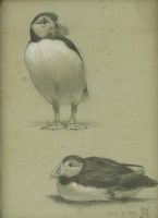 Lot 164 - Henry Stacy Marks (1829-1898)
STUDIES OF A PUFFIN
Signed with monogram and dated 'July 1 1886' l.r.