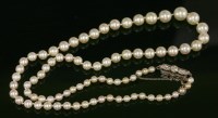 Lot 418 - A single row graduated natural pearl necklace