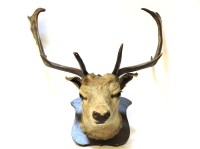 Lot 300 - Taxidermy: stags head mounted on a shield
