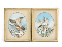 Lot 358 - A pair of Victorian lithographic three dimensional studies of birds