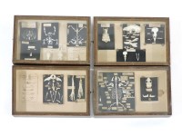 Lot 132 - A set of four mounted animal skeletons