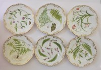 Lot 248 - A set of six porcelain botanical plates