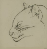 Lot 189 - Silvia Baker (20th century)
STUDY OF A LYNX
Signed with initals l.r.