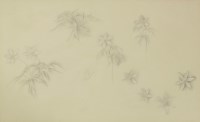 Lot 167 - Winifred Knights (1899-1947)
WOOD ANEMONES
Pencil heightened with white
24.5 x 40cm
