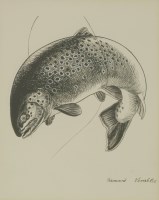 Lot 173 - Bernard Venables (1907-2001)
A BROWN TROUT AND DRY FLY
Signed l.r.