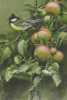 Lot 454 - Terance James Bond (b.1946)
'GREAT TIT'
Signed l.r.