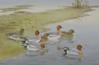 Lot 357 - Richard Robjent (b.1937)
WIDGEON BY THE WATER'S EDGE
Signed l.r.