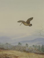 Lot 359 - Philip Rickman (1891-1982)
A WOODCOCK OVER MOORLAND
Signed