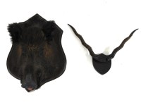 Lot 358 - A taxidermy boar's head