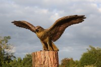 Lot 331 - John Cox (contemporary)
BUZZARD
Bronze
100cm wide open
35cm deep
50cm high 

*Artist's Resale Right may apply to this lot.