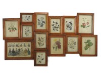 Lot 1465 - A collection of 13 maple framed prints