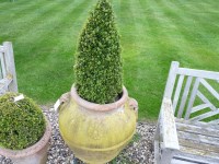 Lot 3011 - Two red earthenware garden urns