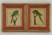 Lot 1697 - A pair of early 19th century French coloured engravings of exotic birds