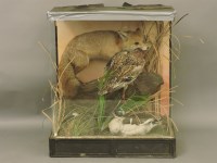 Lot 1555 - Taxidermy: Fox