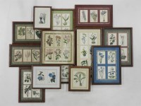 Lot 414 - A quantity of coloured botanical prints