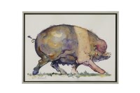 Lot 418 - Colin Rowland 
PIG
watercolour 27 x 37cm