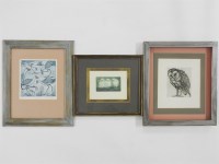 Lot 408 - Geoffrey McNab
BARN OWL
Valerie Christmas
OWLETS
Rona Swallow
PUKEKO
etchings with aquatints
largest 20 x 19cm (3)