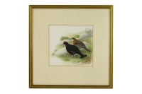 Lot 452 - Norman Arlott (b. 1947) 
GROUSE 
Signed l.r.