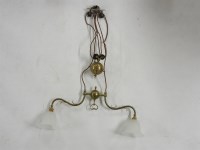 Lot 341 - A brass two branch rise and fall ceiling light
