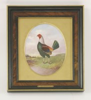 Lot 23 - A painted porcelain panel of a fighting cock