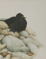 Lot 362 - Terence Lambert (b.1951)
A SCOTER SEATED ON ROCKS
Signed l.r.