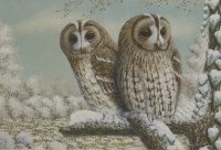 Lot 214 - Mark Chester (b.1960) 'WINTER WOODLAND TAWNY OWLS' Signed l.r.