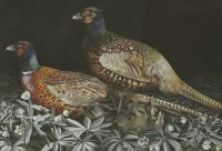 Lot 371 - P...Walton (20th century)
TWO PHEASANTS
Signed and dated 1967 l.l.