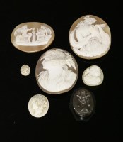 Lot 8 - A collection of six unmounted carved shell cameos