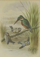Lot 507A - Harry Bright (1846-1895)
A KINGFISHER AND THREE BLUE TITS
Signed and dated 1892 l.r.