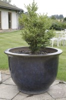 Lot 1004 - A large blue glazed planter of tapering form