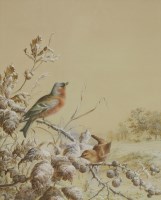 Lot 507 - Harry Bright (1846-1895)
A WINTER SCENE WITH A BULLFINCH AND A WREN ON A BLACKBERRY BUSH
Signed and dated 1879 l.r.