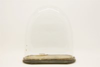 Lot 396 - A glass dome on a wooden base
