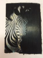 Lot 43 - Age group: 19 and Over

Tracey Pinnington
OUT OF THE SHADOWS
Print
29.7 x 21cm

“Zebras are one of my favourite animals and this drawing evolved whilst I was experimenting on creating a range of Zebra