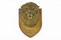 Lot 262 - An early 20th century otters mask