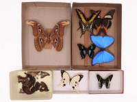 Lot 405 - A small collection of foreign butterflies and moths