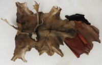 Lot 530 - A set of antlers mounted on an oak shield