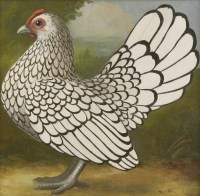 Lot 314 - Lizzie Riches (b.1950)
'SEBRIGHT HEN'
Signed with initials l.r.