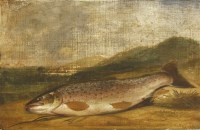 Lot 357 - Henry Leonidas Rolfe (1824-1881)
A TROUT
Signed and dated 1854 l.r.