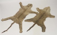 Lot 406 - Two leopard pelts