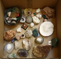Lot 269 - A collection of geological items and fossils