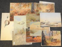 Lot 309 - R.G.Wright
A collection of ornithological watercolours
