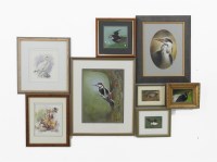 Lot 433A - A group of wildlife pictures