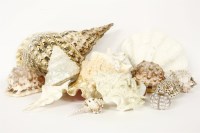 Lot 276 - A collection of sea shells