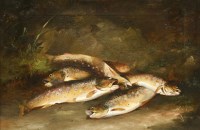 Lot 390 - John C Bell (19th century)
TROUT FROM MOOR STREAM
Signed and dated 1854 l.l.