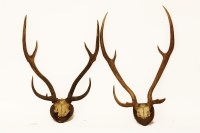 Lot 1700 - A pair of eight point stag antlers